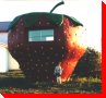 Strawberry - Jacket River, New Brunswick