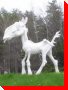 Blowhard The Bony Horse - Penobsquis, New Brunswick