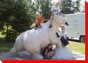 Polar Bear - Thunder Bay, Ontario