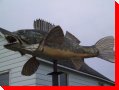 Fish (Waldo the Great) - Upsala, Ontario