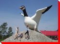 Canada Goose 3 - Wawa, Ontario