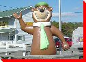 Yogi Bear - Woodstock, New Brunswick