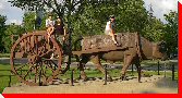 Ox Cart - Winnipeg, Manitoba